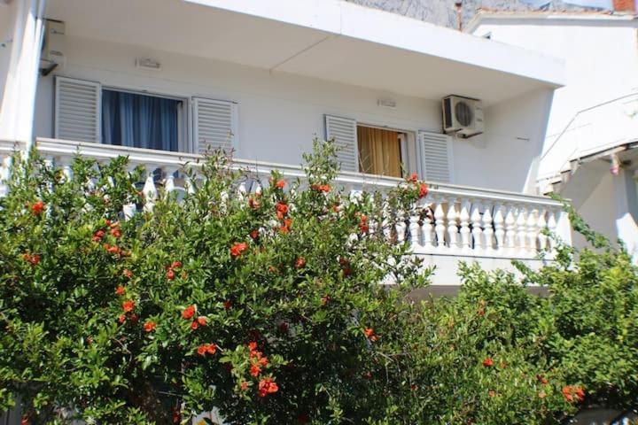 بروماجنا Apartments Zika المظهر الخارجي الصورة